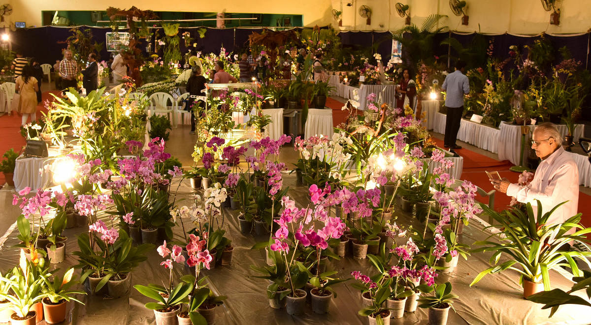 Visitors at the Orchid Show organised by the Orchid Society of Karnataka at Lalbagh on Sunday.
