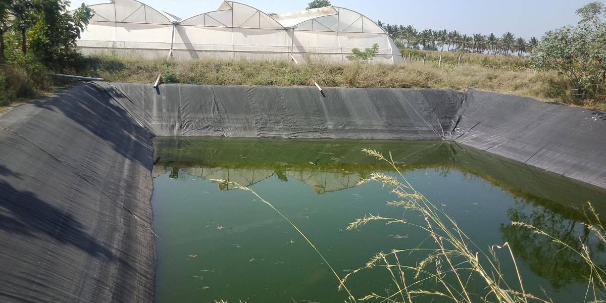 Farm pond dug to collect and store rainwater by farmer Nagarajappa in Devarahalli in Kadur taluk.