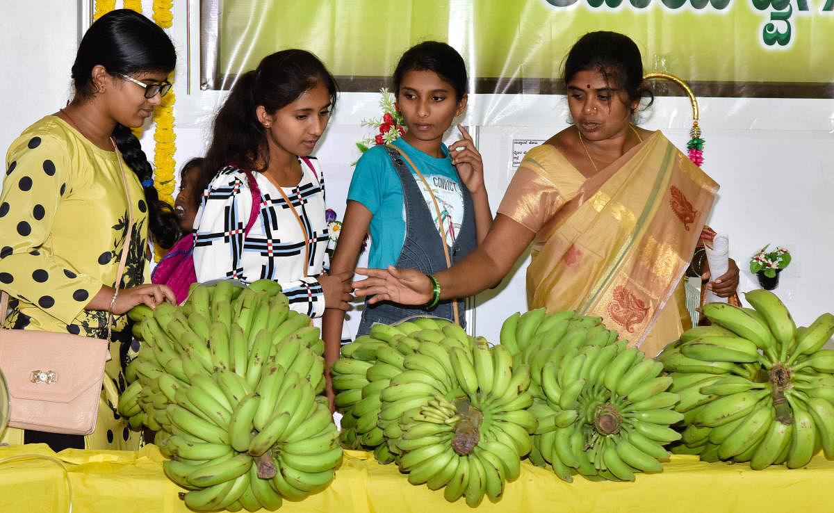 People enthused by the exhibits at Krishi Mela 2018, organised by the University of Agricultural Sciences at GKVK on Thursday.