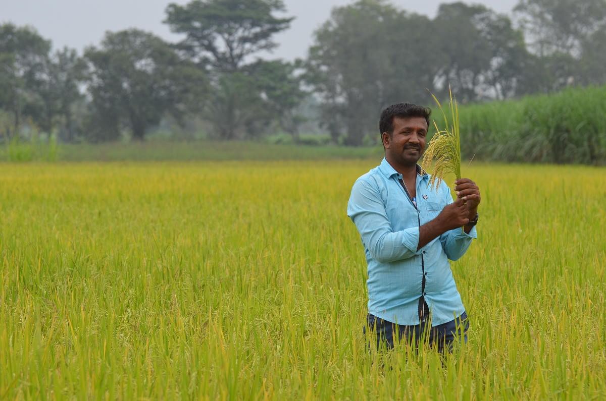 Sidda Sanna Rice Seed Producer Hemanth Photo- Krishna Prasad