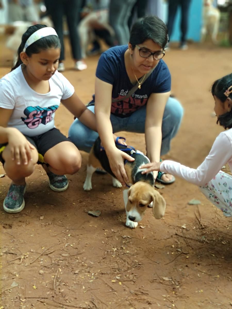 Pet parents learnt tips on how to care for their dogs.