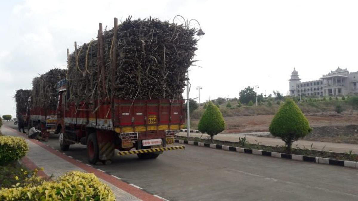 <div class="paragraphs"><p>Protesting farmers drive their sugarcane-laden trucks into the Suvarna Vidhana Soudha premises in Belagavi on Sunday. </p></div>