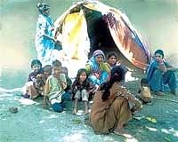 Chamar Mangta families in Maharajganj district of Uttar Pradesh.