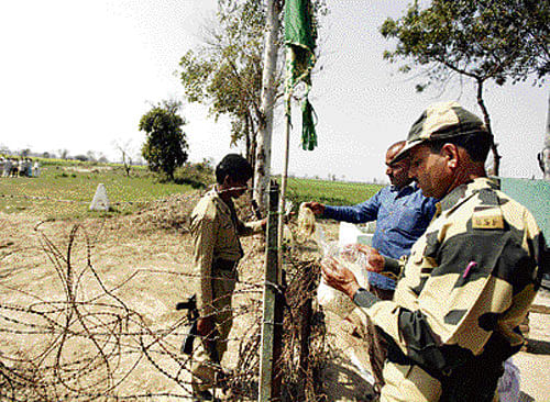 BSF personnel patrol Indo-Pak border.
