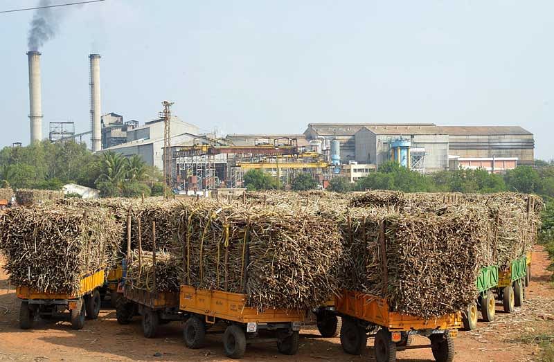 With sugarcane growers up in arms, the farmers’ wing of the Karnataka Congress on Monday wrote to seven party leaders who own sugar factories, asking them to clear farmers' dues. (DH File Photo)