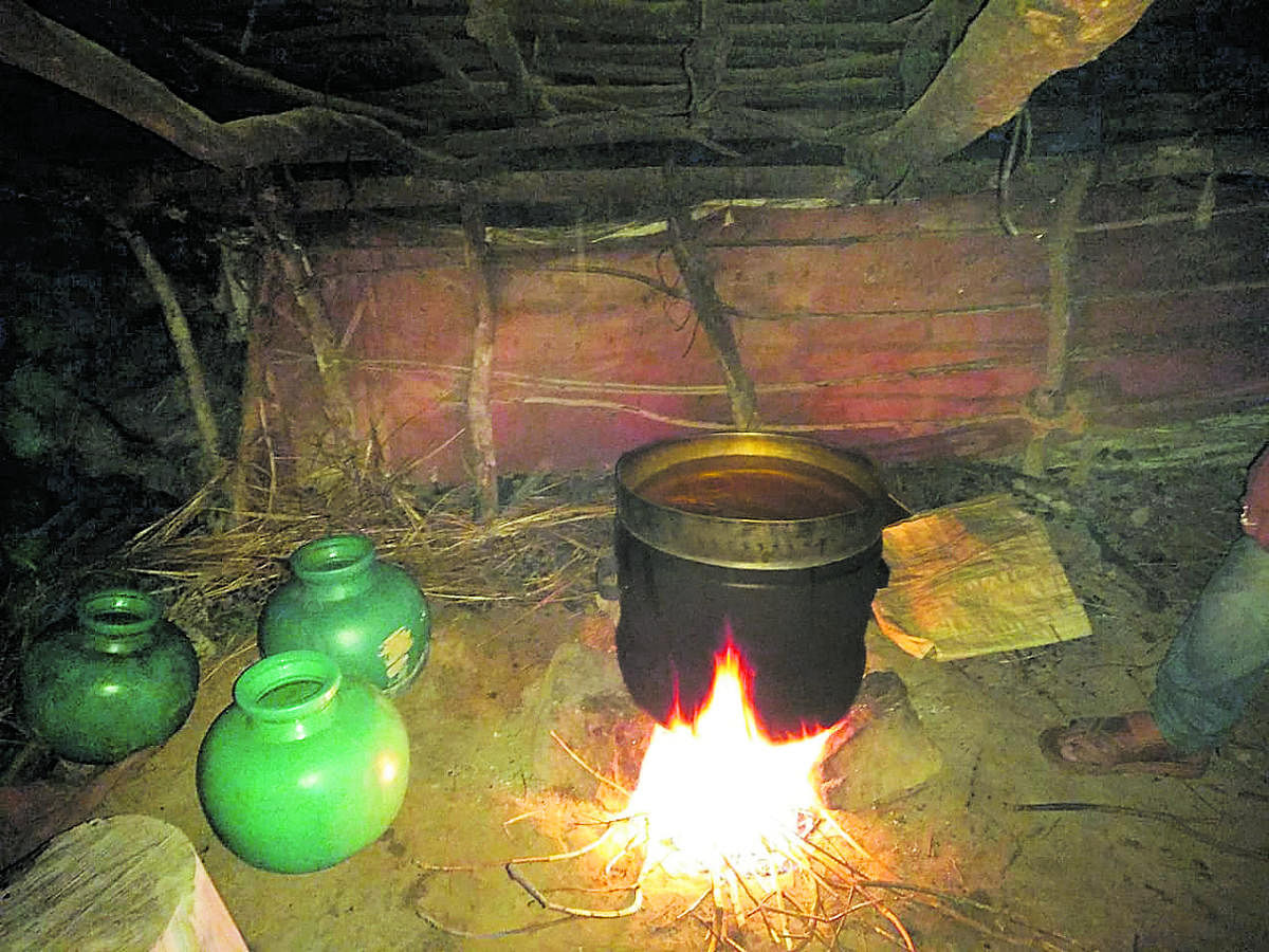 Illicit liquor being prepared in a hut built on the land belonging to Kallalli Mutt near Shanivarasanthe.