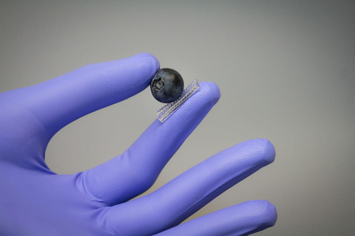 The sensor shown in this photo is sensitive enough to allow the finger to hold a blueberry without crushing it. In the future all the fingers and the palm would have similar electronic sensors that mimic the biological sensors in our skin. (Image credit: Bao lab/Stanford.edu)