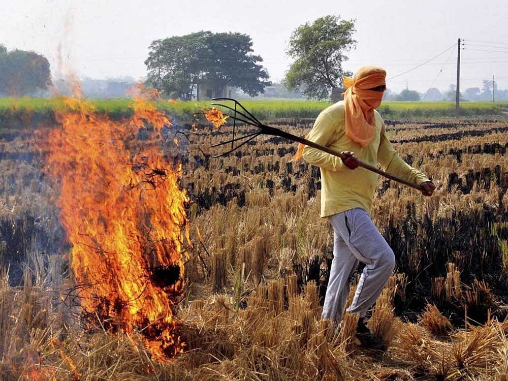 The Centre is mulling over making use of crop residue mandatory in thermal plants for generating electricity and, thereby, reducing air pollution from stubble burning. PTI file photo for representation. 