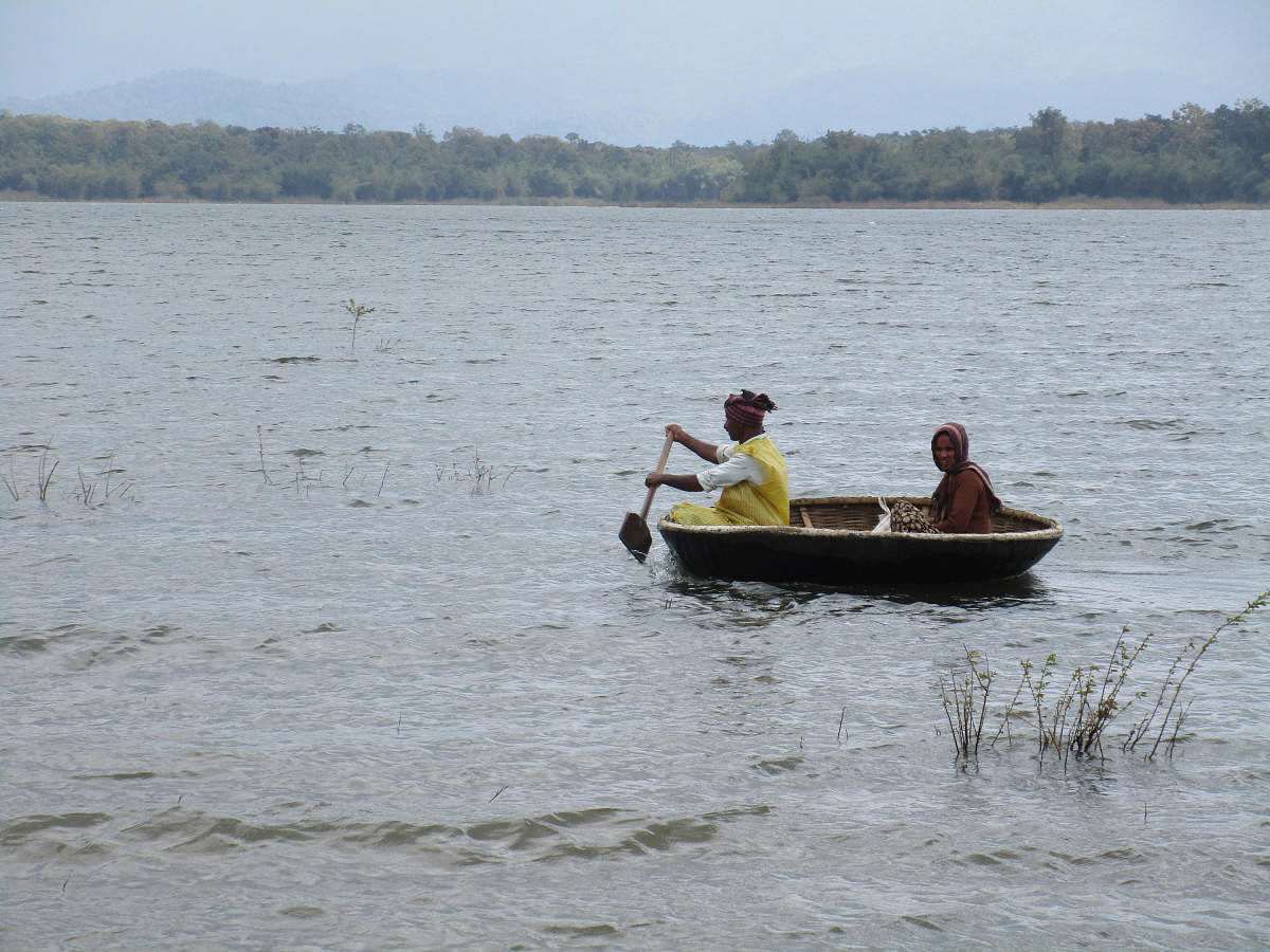 Fishermen engaged in fishing using a coracle in the backwaters of Bhadra Dam, at Ravooru in N R Pura taluk.