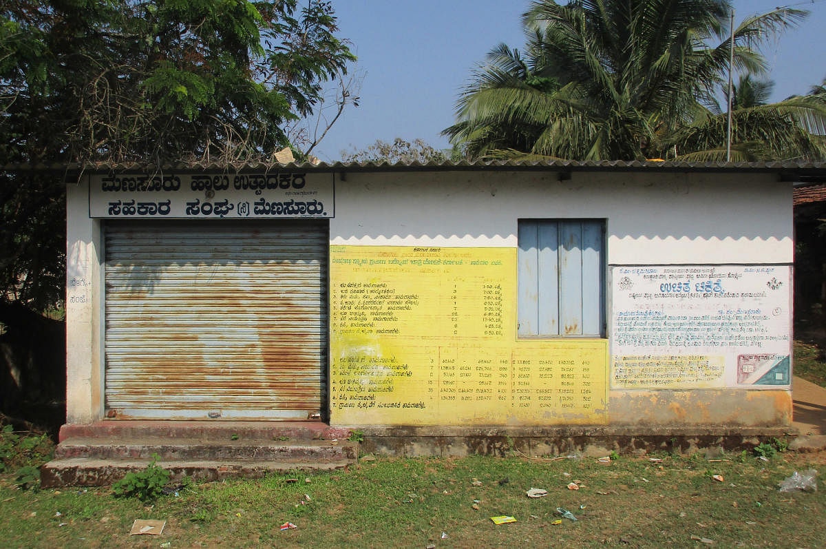 The cooperative milk society in Menasuru village in N R Pura taluk has closed down.