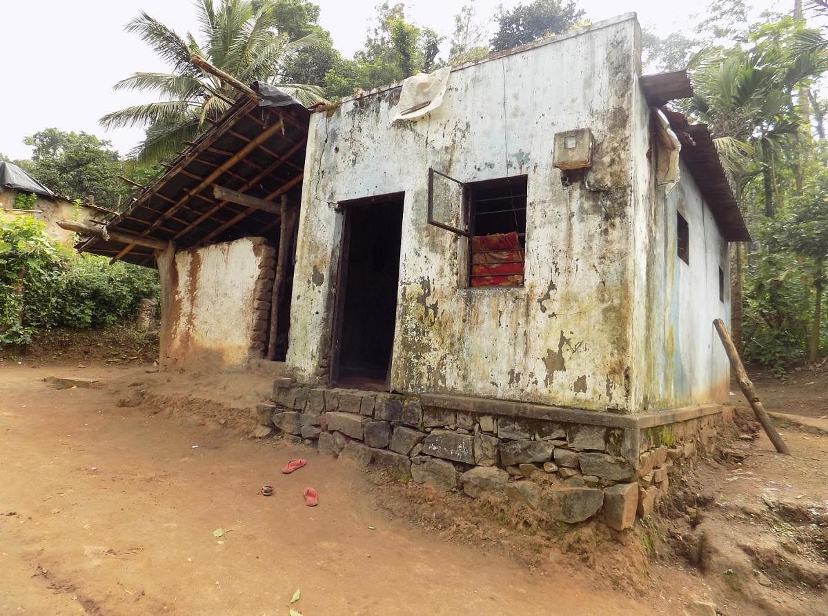The pathetic condition of a house in the tribal colony at Devarapura in Gonikoppa.