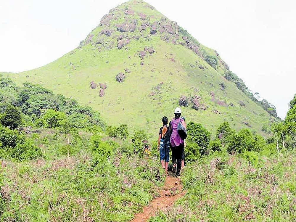 Muthappa said that, in the backdrop of heavy rain and landslides, the district administration had prohibited the entry of visitors to the hilly ranges. 
