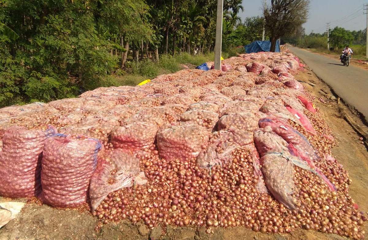 Onions stored in bags beside Shivani-Bukkambudhi Road.