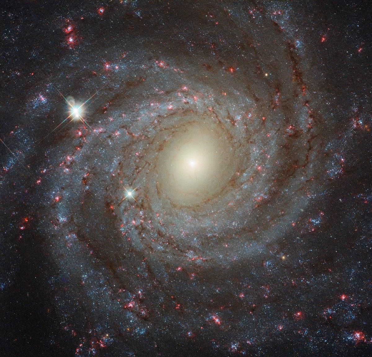 Caught in the swirl: The result obtained by Fr Lemaître was the same as the one proposed by Hubble’ Law — farther the galaxy, the faster it moves away from us. REPRESENTATIVE IMAGE/AFP
