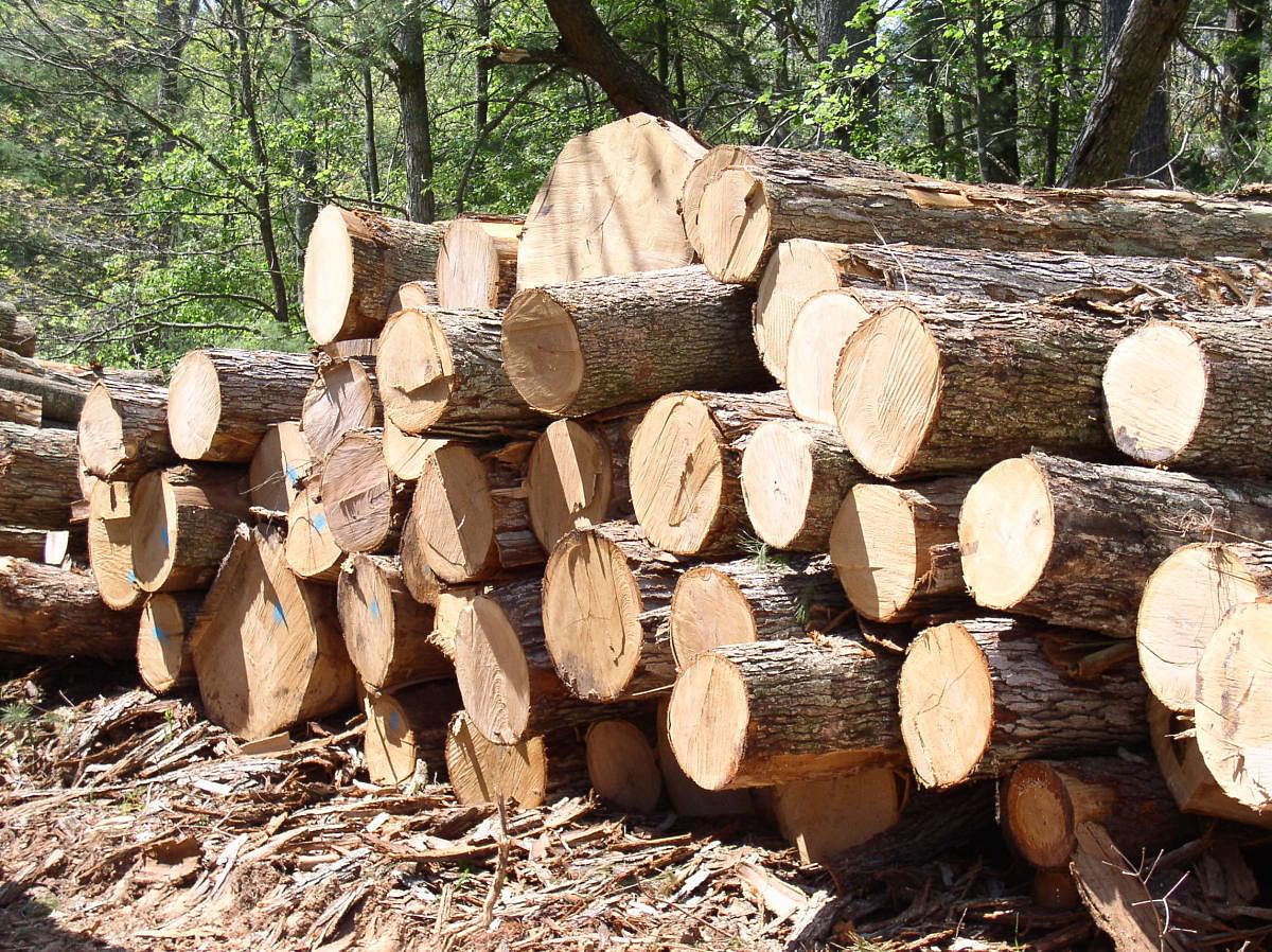 There is a need to understand the customer behaviour and what type of wood is required in which season and the quantity required.