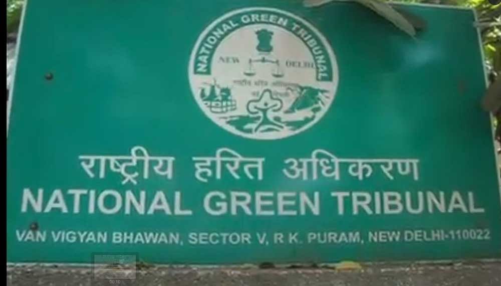 <div class="paragraphs"><p>A board outside the office of the National Green tribunal.&nbsp;</p></div>