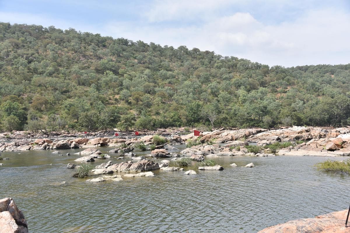 The View of spot identified by Karnataka Government for the project of construction of balancing reservoir cum drinking water at Mekedatu in Ramanagara District. DH File Photo