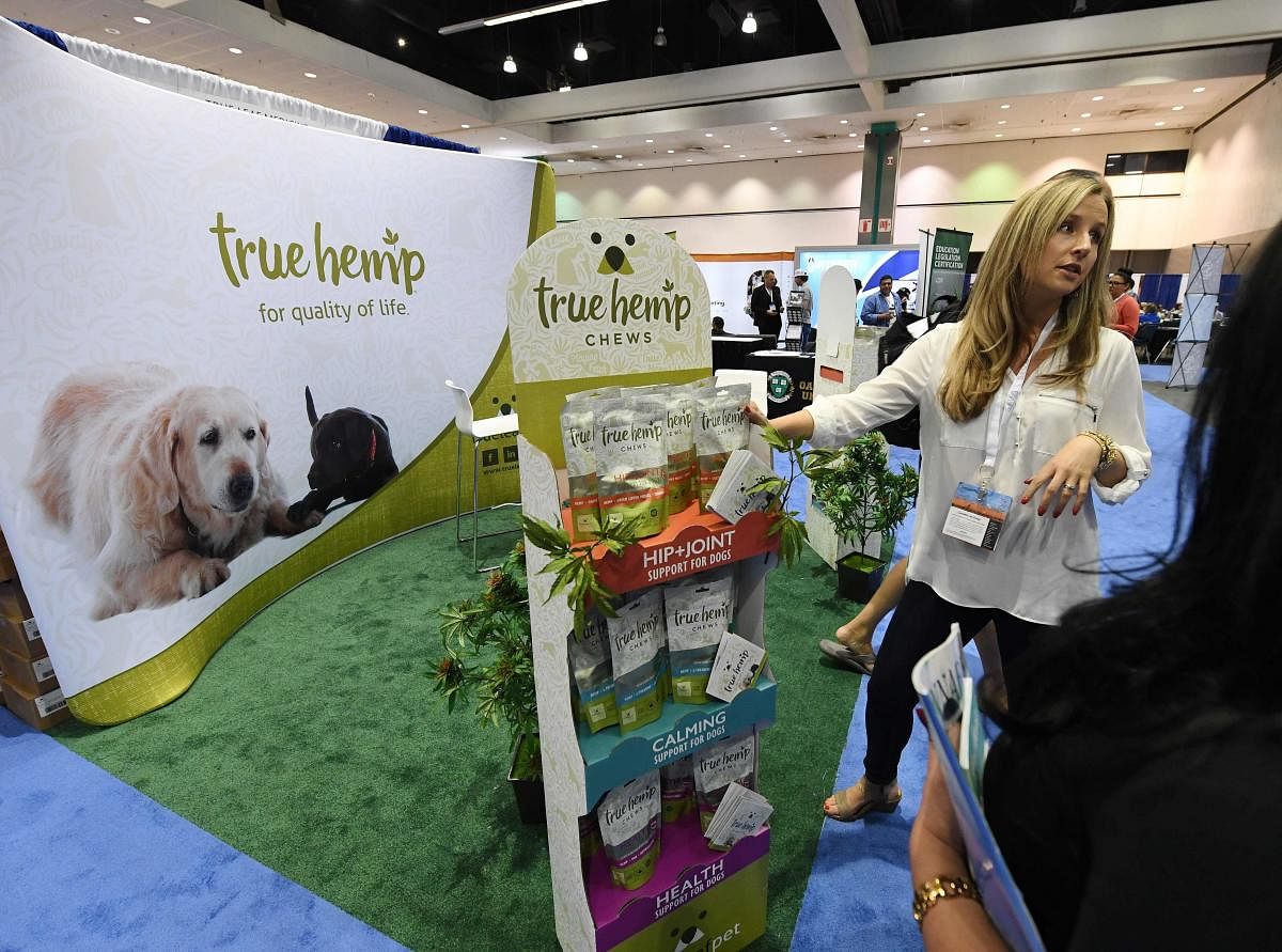 Alison Ruks promotes Hemp products to provide joint relief and medicinal use for dogs at the Cannabis World Congress in Los Angeles. (AFP File Photo)