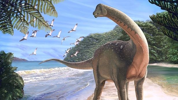 The titanosaurian dinosaur Mansourasaurus shahinae on a coastline in what is now the Western Desert of Egypt approximately 80 million years ago. Andrew McAfee/Carnegie Museum of Natural History