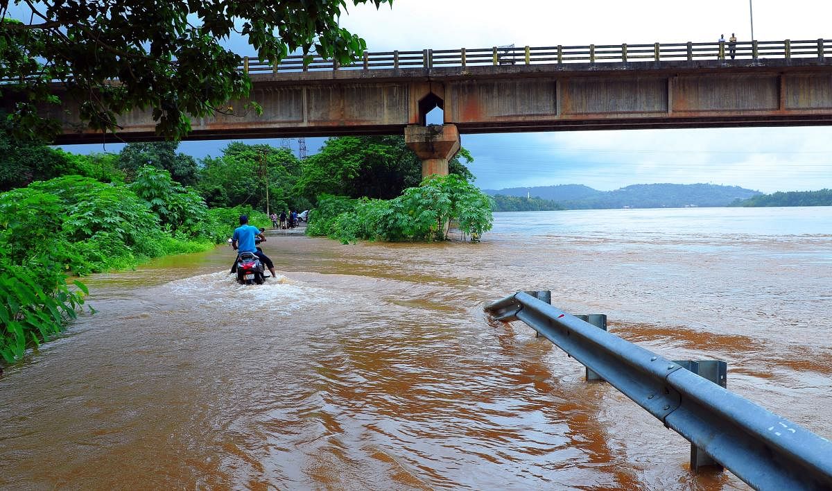 The water from River Nethravathi on Goodinabali-Kanchukarapete in Bantwal.