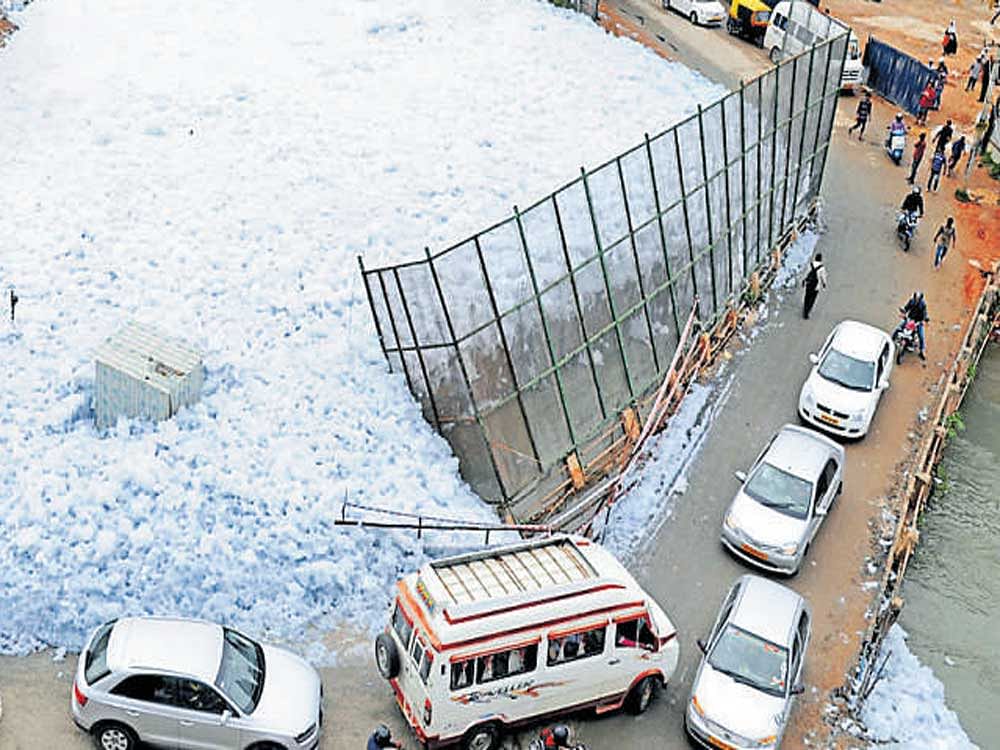 The Bellandur Lake began frothing again after a heavy downpour on Thursday night, spewing thick foam around its peripheral areas and spreading fear of further deterioration during the forthcoming monsoon. DH file photo