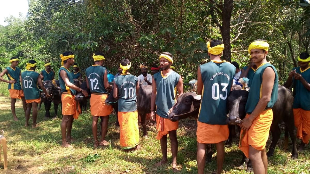 Youths undergo training at Kambala Conservation, Maintenance and Training Academy at Meeyaru in Udupi. 
