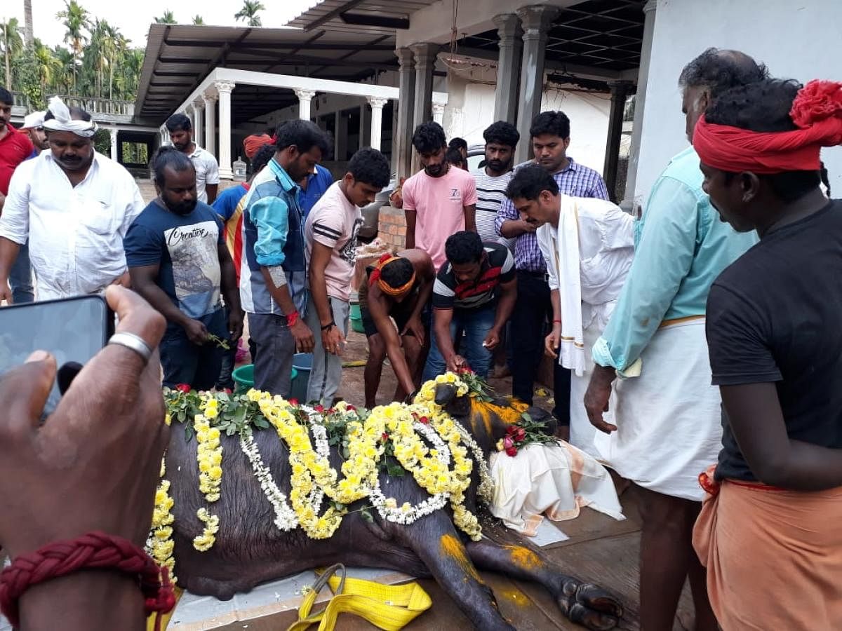 People pay tributes to Rocket Moda at Nandalike in Udupi. 
