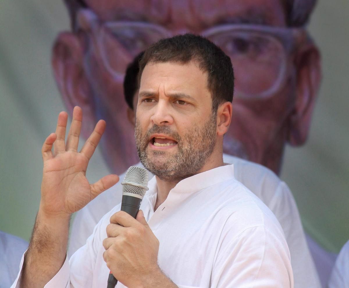 Congress chief Rahul Gandhi, who has been quite vocal about issues facing the country's farmers, on Tuesday, was challenged by a BJP leader to identify common crops like wheat and paddy. PTI file photo