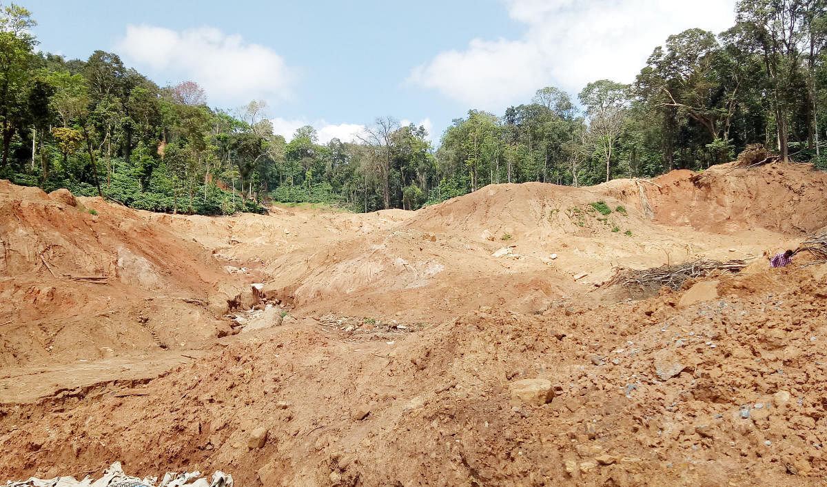 A coffee plantation affected by heavy landslides on Madikeri-Somwarpet Road.
