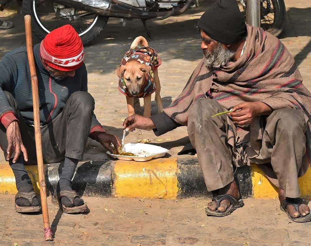 The homeless are mostly migrants who have come from Ballari, Hospet, parts of Tamil Nadu and Andhra Pradesh, many of whom came looking for work. PTI file photo for representation.