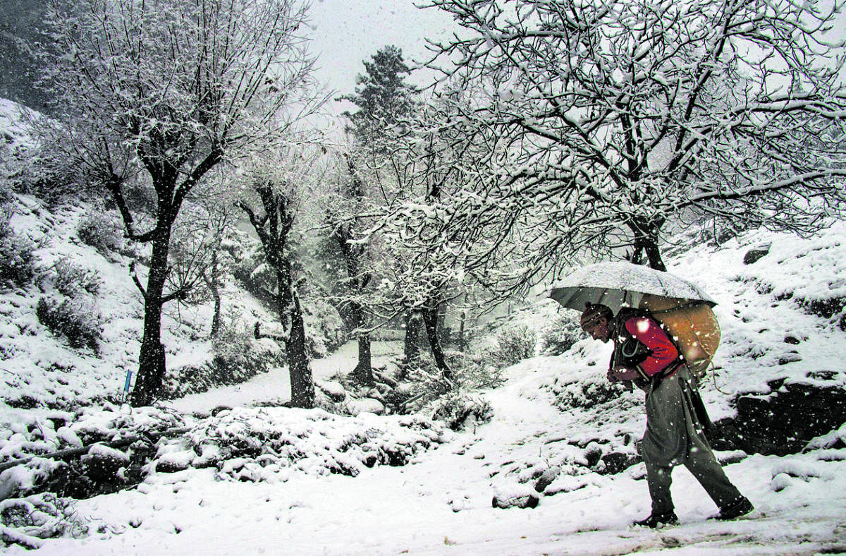 An elderly man, carrying a load on his back, walks on a snow-covered road during snowfall at Tangmarg in Baramulla district of north Kashmir.