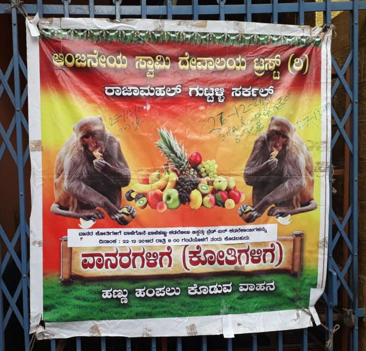 A poster inviting devotees to feed the monkeys displayed at the temple.