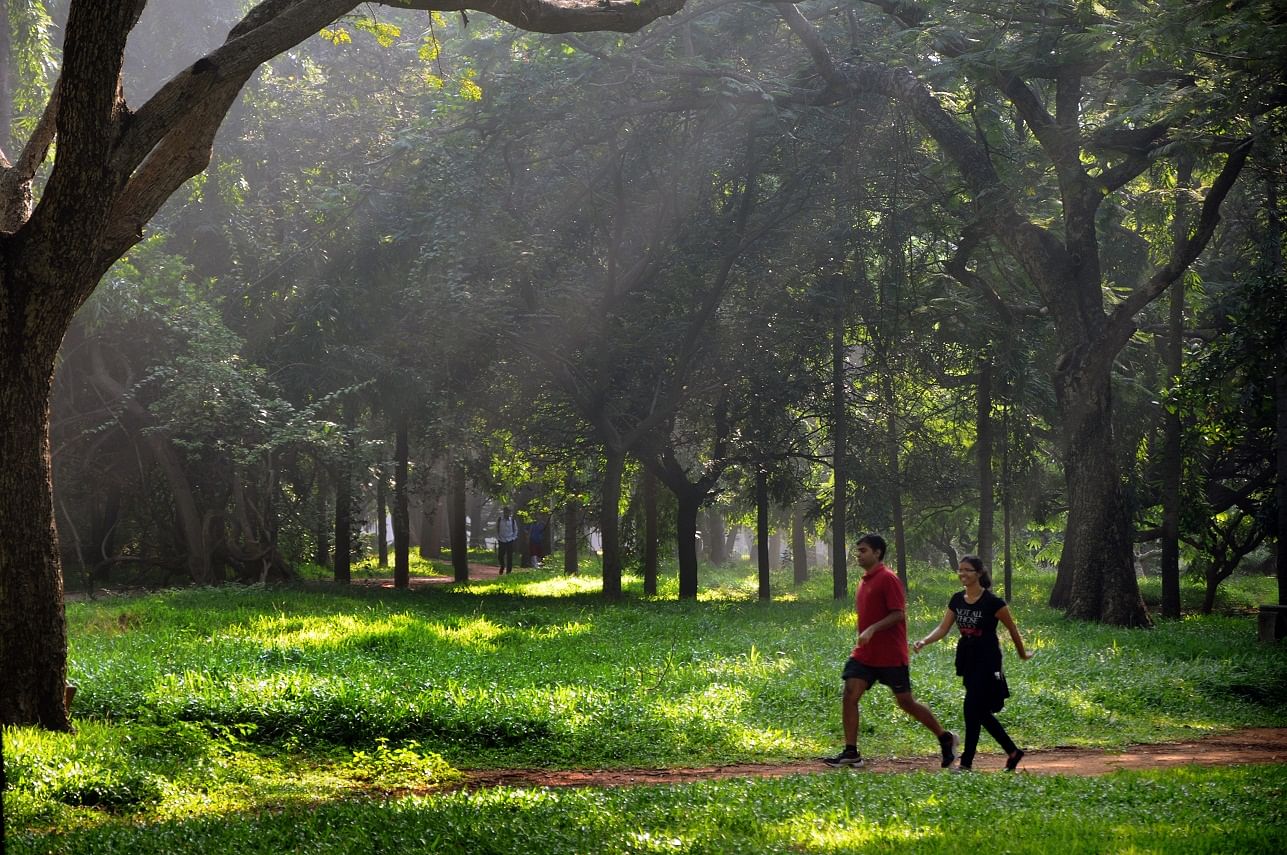 Spend some quality time at Cubbon Park.