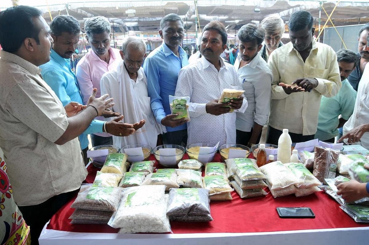 Farmers collect information on millets at the organics and millets fair in Chikkamagaluru.