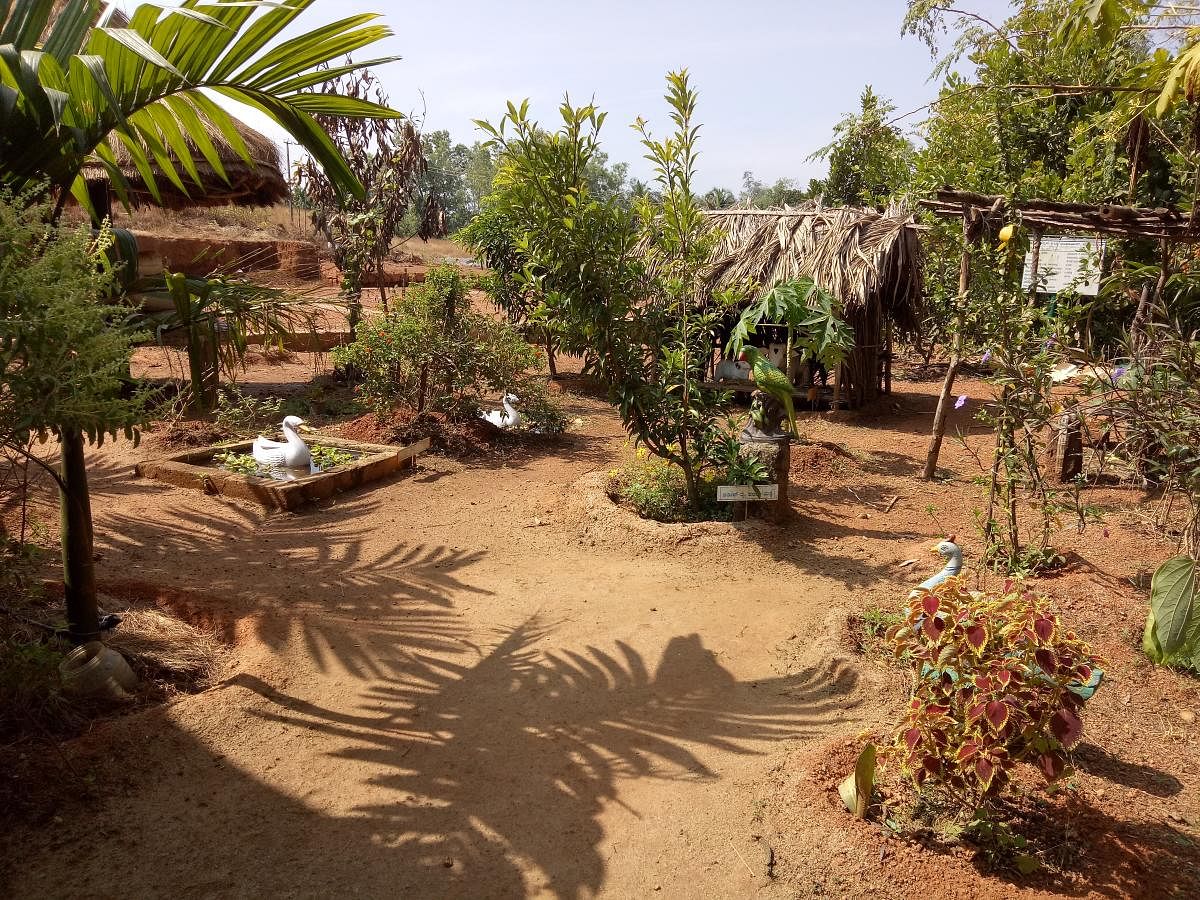 The plants, small ponds with a model of a duck, at the Anganwadi premises in Manavalike, at Perabe in Puttur taluk.
