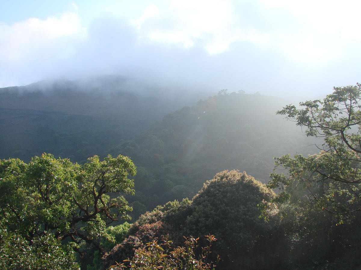 Mist-covered Mullayanagiri