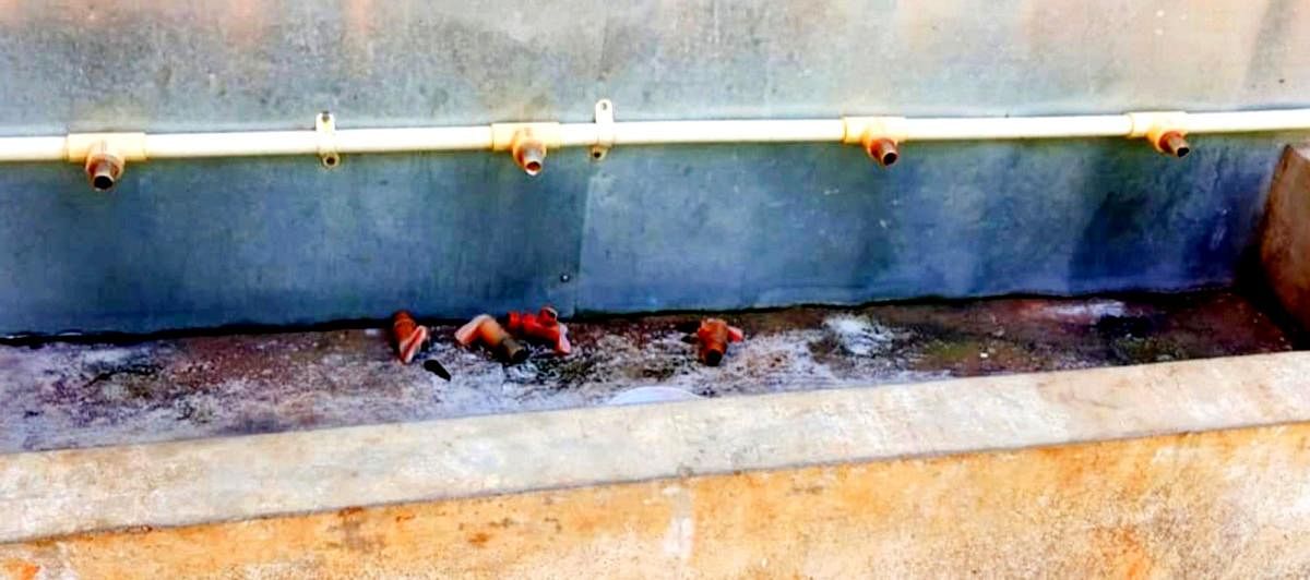 Miscreants broke water taps in the Government Model Higher Primary School in Hanagallu Shettalli.
