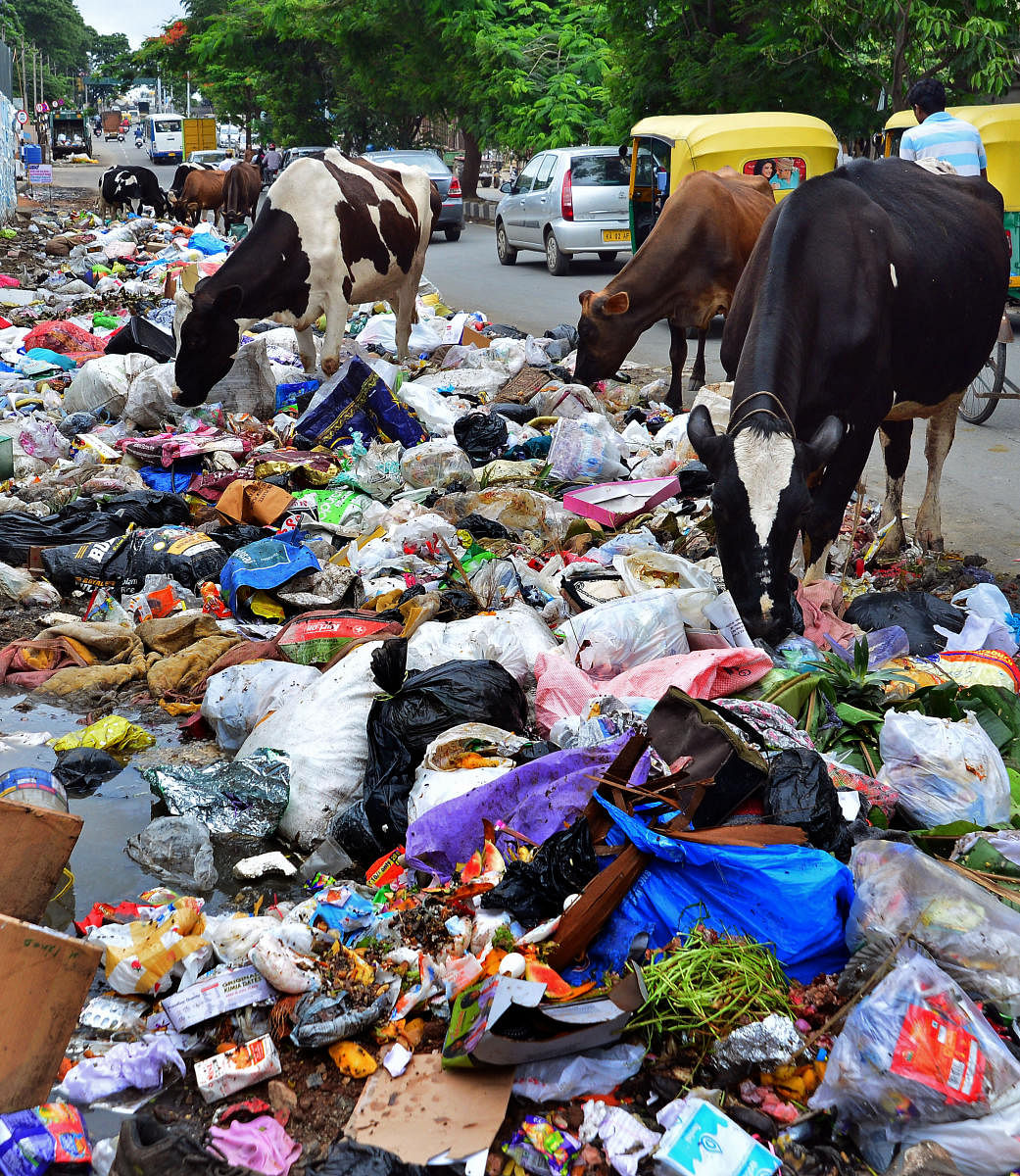 A garbage pile on the ORR near Kumaraswamy Layout. (DH File Photo)