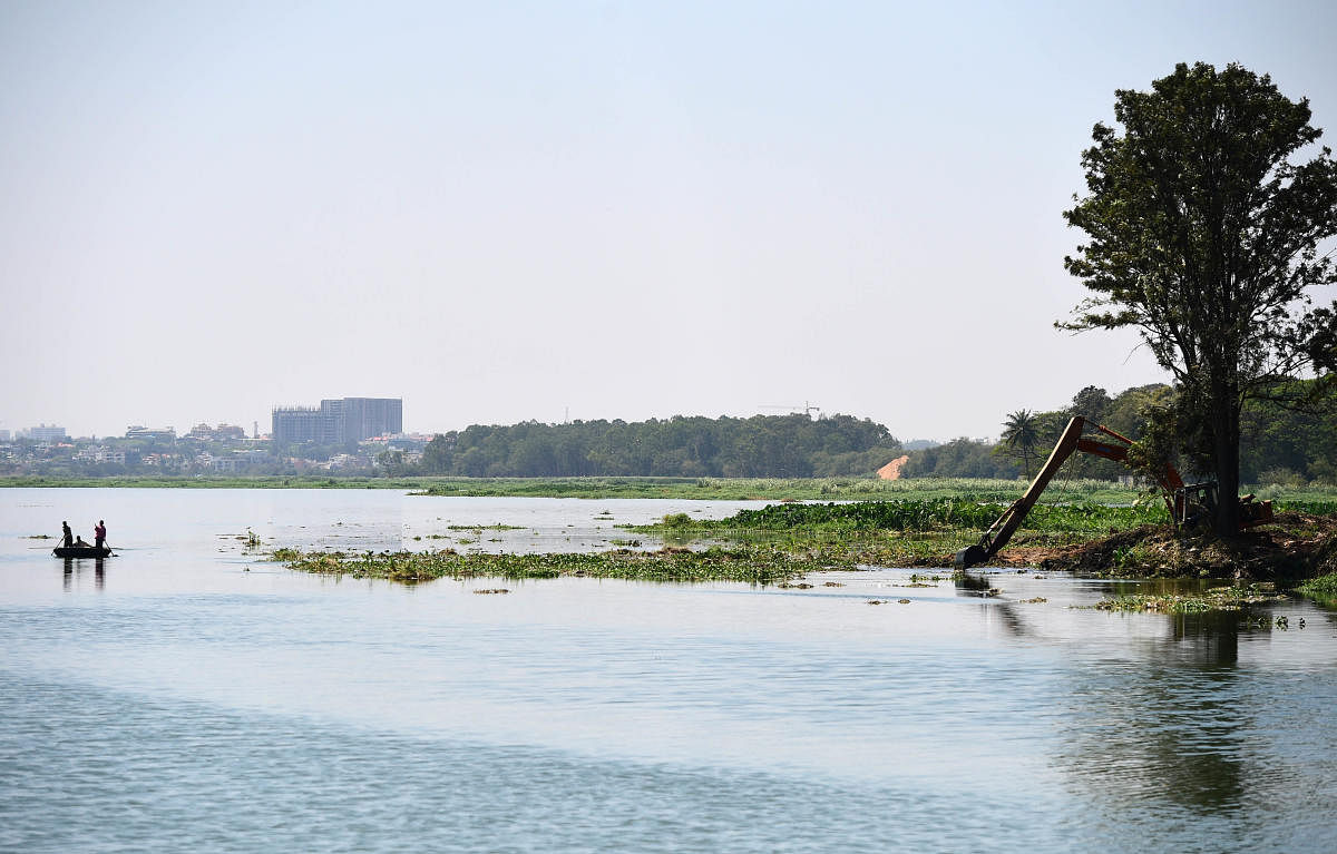 Revival plan: The Bangalore Development Authority has cleared the encroached areas in and around the Bellandur Lake. DH file photo