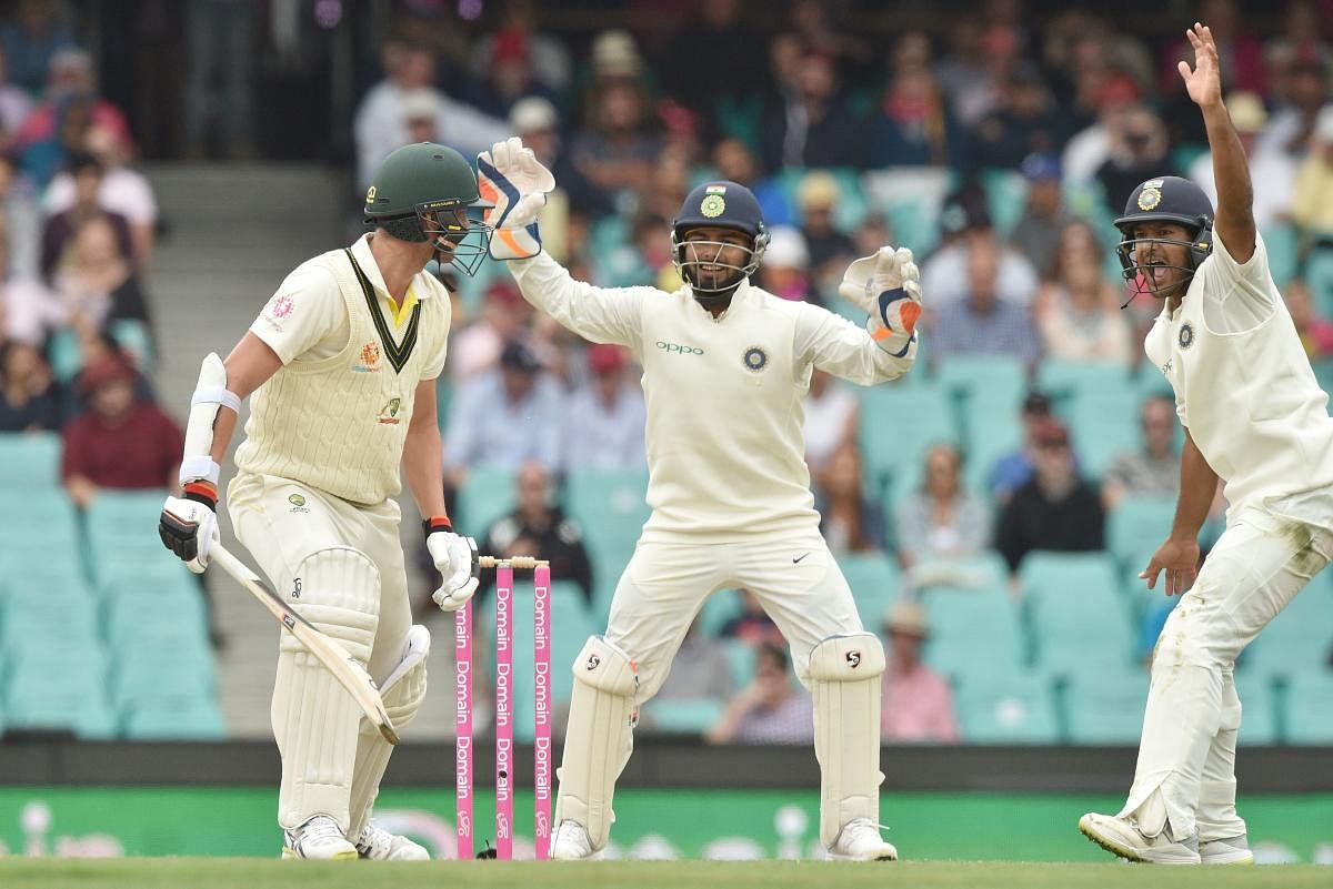 Rishabh Pant shouts as Josh Hazelwood is taken out with an LBW. AFP file photo