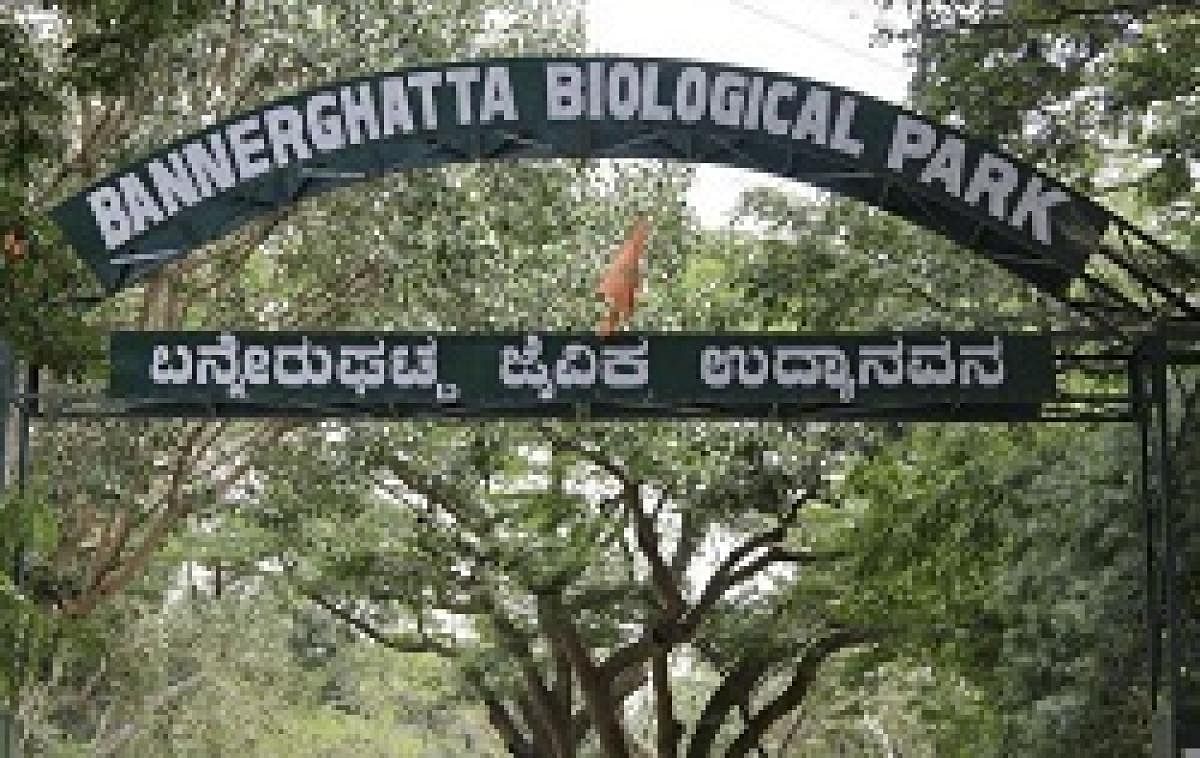 The Bannerghatta Biological Park will be renamed as Bengaluru Bannerghatta Biological Park from February. DH file photo