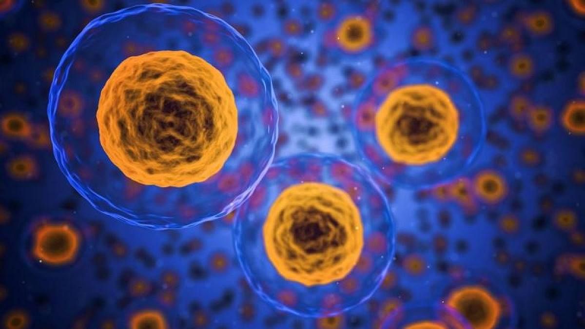 Molecular biologists use a technique called single-cell RNA sequencing (scRNA-seq) to find out rare cell types within a mass of cells.