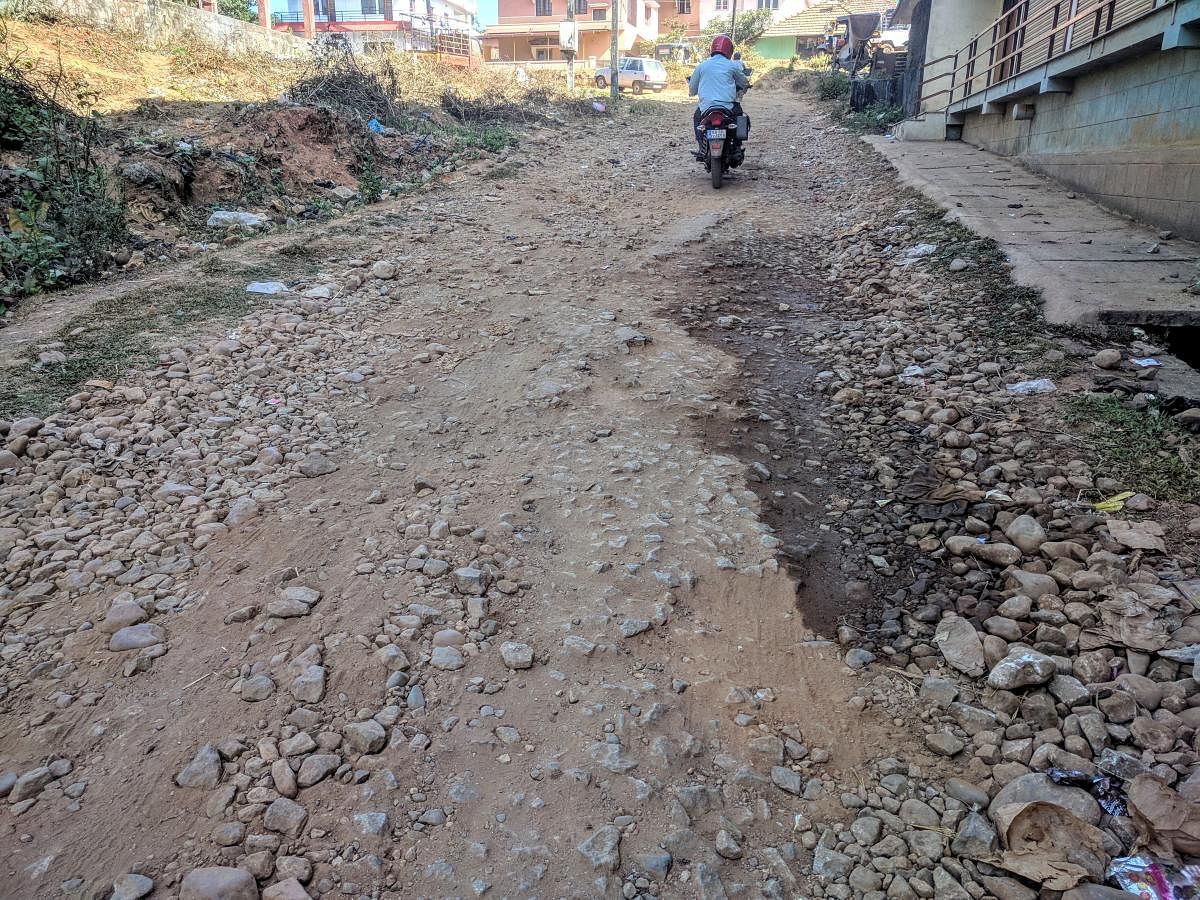 The condition of the Kalasa-Edadalu Road in Chikkamagaluru.