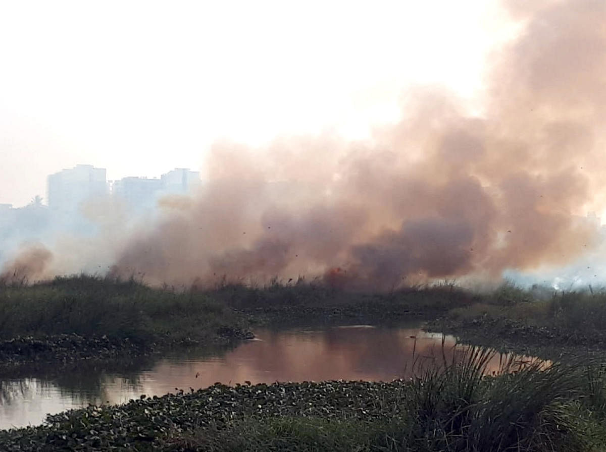 Smoke billowing from the fire at Varthur lake in Bengaluru on January 20. DH Photo.
