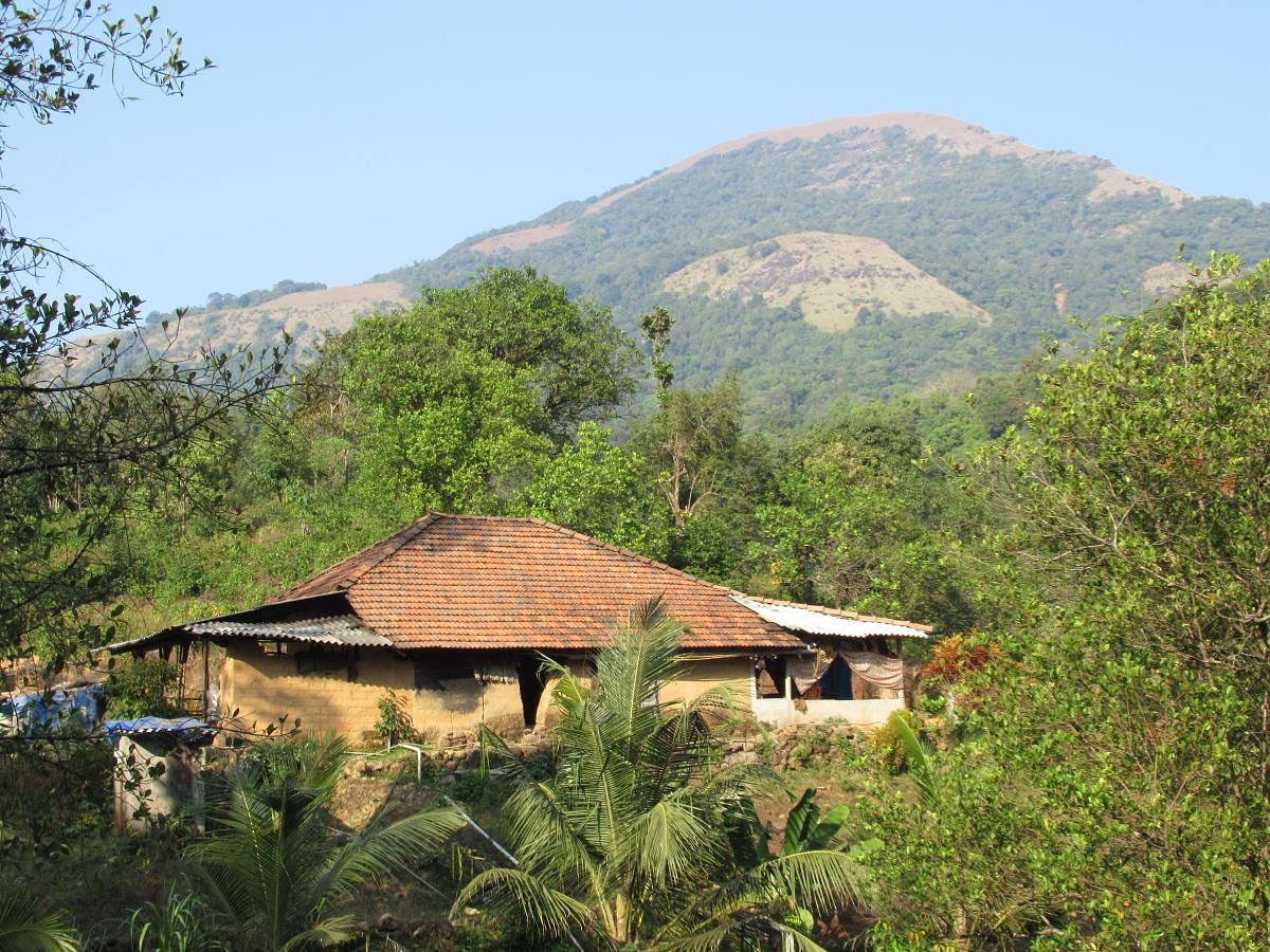 A house without electricity connection in Kudremukh National Park limits in Belthangady taluk.