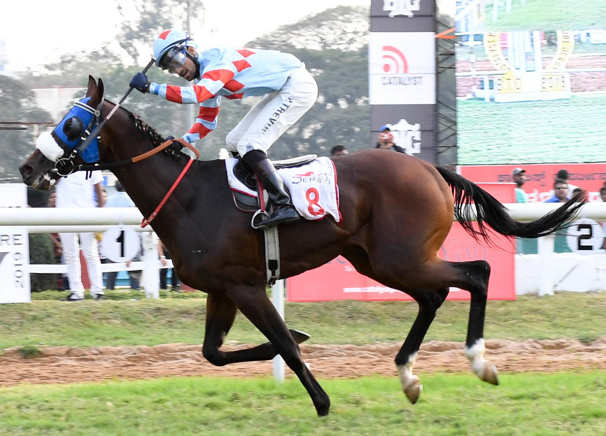 BRILLIANT: Jockey P Trevor guides The Invader to victory in the Catalyst Properties Bangalore Derby at the Bangalore Turf Club in Bengaluru on Saturday. DH PHOTO/BH SHIVAKUMAR