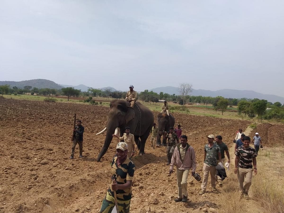 A combing operation at Maguvanahalli and surrounding villages, in Gundlupet taluk, Chamarajanagar district.