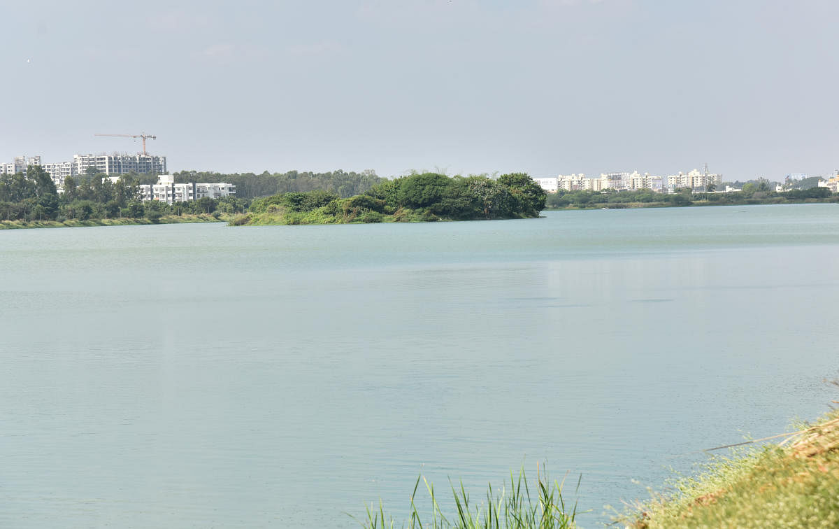 People living close to Jakkur Lake have complained that a private builder is constructing a building in the lake's buffer zone, prompting Mayor Gangambike Mallikarjun to inspect the waterbody on Thursday.