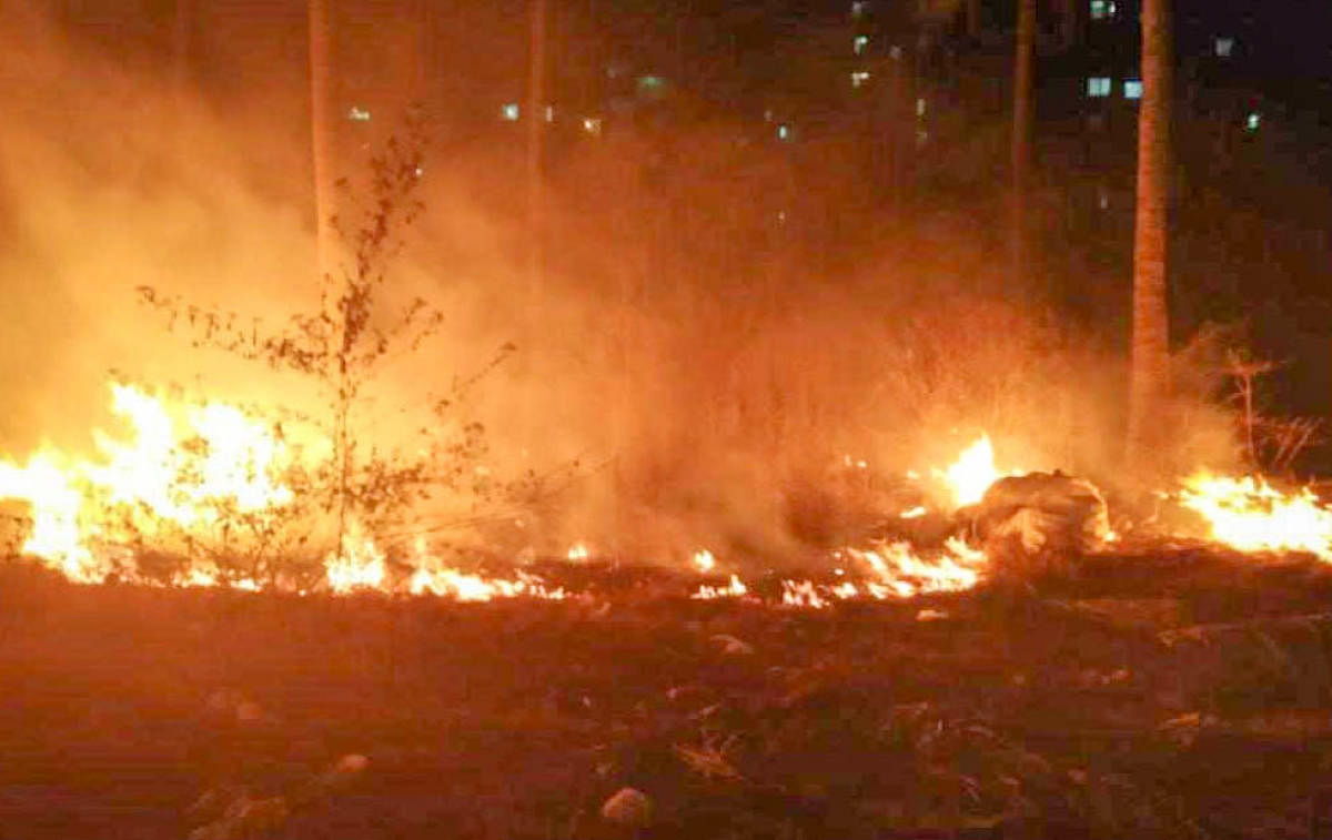 Fire in Bellandur lake buffer zone, in Suncity Shobha department side, Lake Marshals are control the fire.
