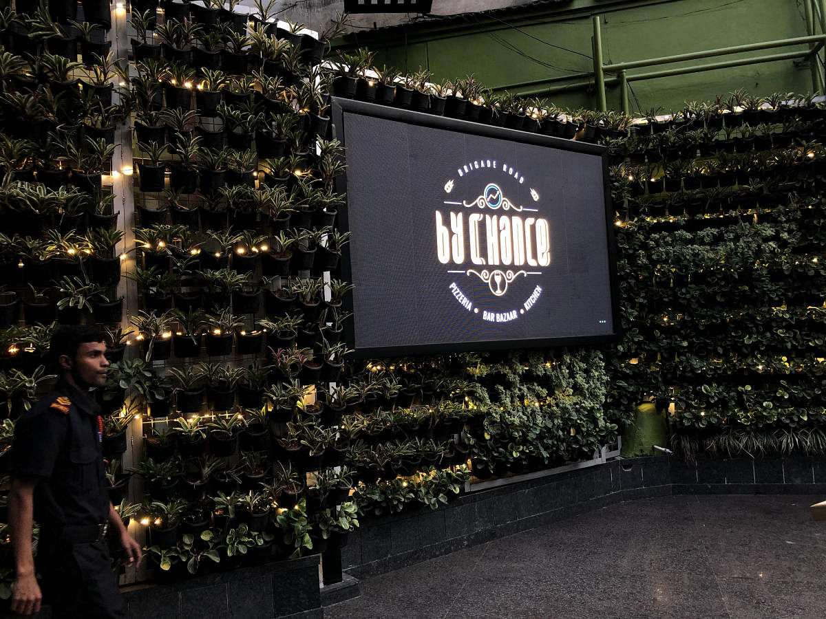 The vertical garden is a huge hit among the diners.